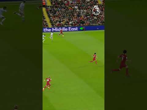 Salah finishes splendid Liverpool move vs Wolves – camisetasvideo.es