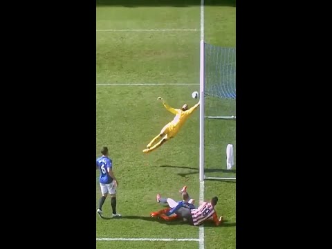 Is this the best Premier League save EVER? 😱 – camisetasvideo.es